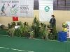 JKP Zelenilo Kragujevac