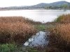 Oblacinsko jezero
