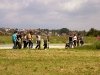 Pored puta