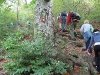 planinarska oznaka
