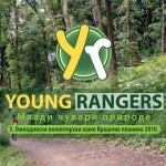 young-rangers