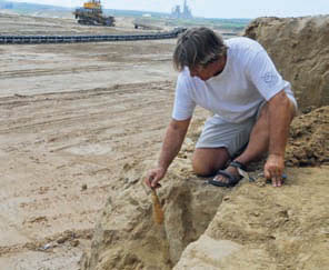 arheolozi „Viminacijuma“ otkrili su 6. juna fosilne ostatke mamuta na dubini od 10 do 12 metara od površine zemlje