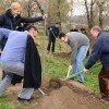 60 sadnica gradu Beogradu