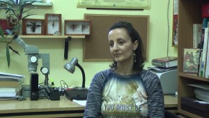 Dr Ana Mitrovski Bogdanović