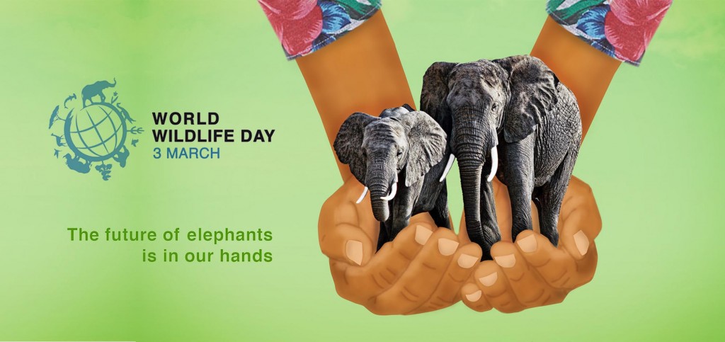 Budućnost slonova je u našim rukama - The future of elephants is in our hands