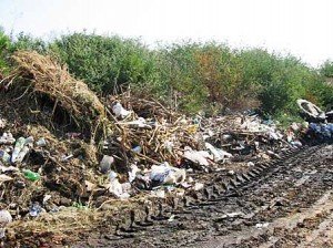 Očistimo svet-Očistimo Niš Očistimo svet-Očistimo Niš