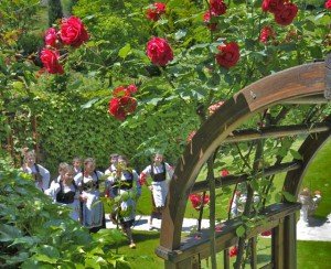 Ružičnjak u Vlakči