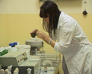 Rad u laboratoriji za fiziologiju biljaka