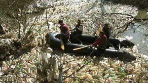 Čamcem kroz PET Moravu