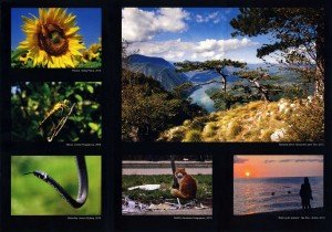 izložba-fotografija-Slavoljuba-Radojevica