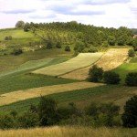 Uredba o utvrđivanju programa izvođenja radova na zaštiti, uređenju i korišćenju poljoprivrednog zemljišta za 2012. godinu