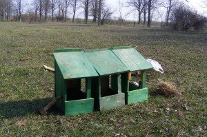 Kućice za sive veruške