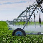 U predstojećem četvorogodišnjem periodu trebalo bi da bude navodnjavano 1,1 miliona hektara poljoprivrednog zemljišta, odnosno šest puta više nego do sada. Ove godine iz budžeta je za ovaj projekat izdvojeno pet milijardi dinara