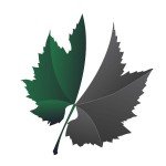 „Zeleni list“ I “Crni list” dodeljuju Radio Beograd 2, ekološki magazin „Čekajući vetar“ i Pokret gorana Vojvodine