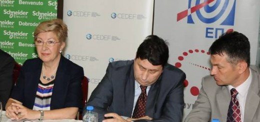 Na konferenciji je prisustvovalo preko 200 predstavnika vlade, lokalnih i regionalnih uprava i samouprava