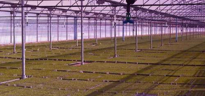 Cilj najvažnijeg i najvećeg infrastrukturnog projekta u srpskom agraru da površine pod zalivnim sistemima budu povećane na 1,1 milion hektara