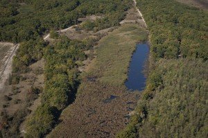SRP Gornje Podunavlje_lokalitet Strbac_foto Szilard Kovacs