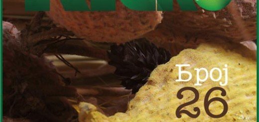 Konkurs za ekološke projekte grada Kragujevca 2012. Medicinski otpad: Intervju sa Slavicom Vukosavljević Tribine Volonterskog centra u Kragujevcu