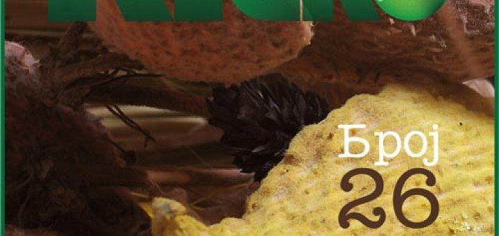 Konkurs za ekološke projekte grada Kragujevca 2012. Medicinski otpad: Intervju sa Slavicom Vukosavljević Tribine Volonterskog centra u Kragujevcu