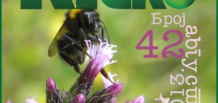 KG eko bilten broj 42 za za avgust 2013