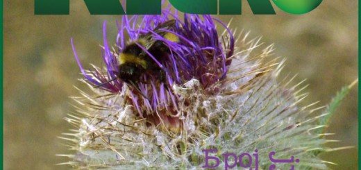 KG eko bilten broj 40 za jun 2013