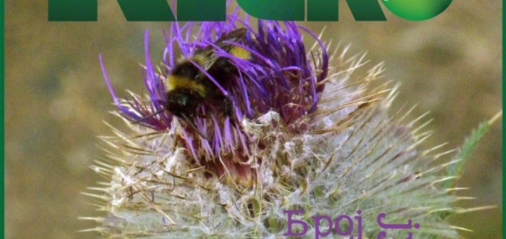 KG eko bilten broj 40 za jun 2013