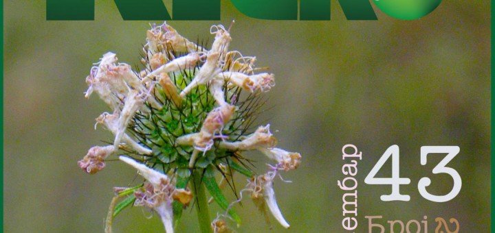 Kragujevacki ekoloski bilten broj 43 septembar 2013