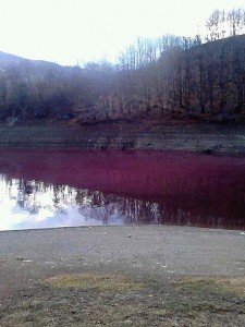 Povodom zagađenja hidroakumulacije Vrutci, sa koje se Užice snabdeva vodom