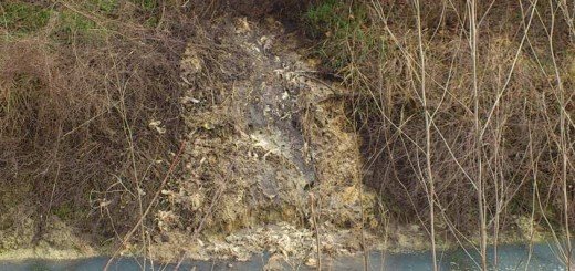 Kanal "Sukova bara" u Futogu namenjen je za odbranu od poplava tokom obimnih padavina