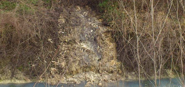 Kanal "Sukova bara" u Futogu namenjen je za odbranu od poplava tokom obimnih padavina