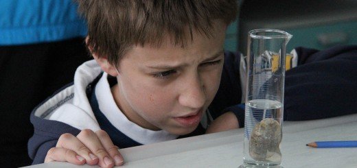 Letnja naučna škola je specijalan program Istraživačke stanica Petnica