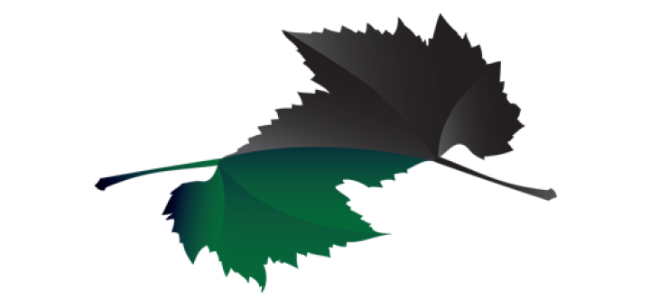 10 povelja „Zeleni list“ zaštitnicima životne sredine i jedna povelja „Crni list“ zagađivaču godine (za godinu 2013)