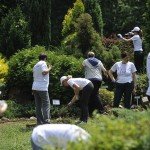Arboretum Šumarskog fakulteta