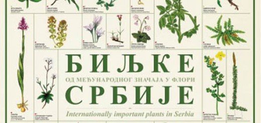 poster “ Biljke od međunarodnog značaja u flori Srbije”