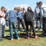 akcija pošumljavanja na Adi Ciganliji