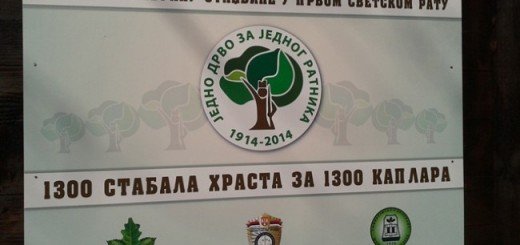 jedno drvo za jednog ratnika