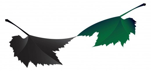 zeleni i crni list za 2014. godinu