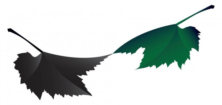 zeleni i crni list za 2014. godinu