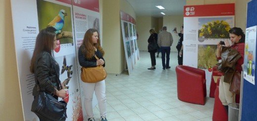 Izložba "Sačuvajmo čudesna stvorenja"