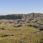 Specijalni rezervat prirode Suva planina