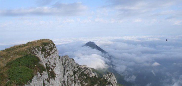 Studija zaštite i Predlog uredbe o proglašenju SRP Suva planina“