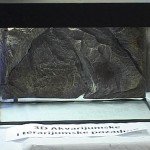 3D akvarijumske pozadine i terarijumske pozadine