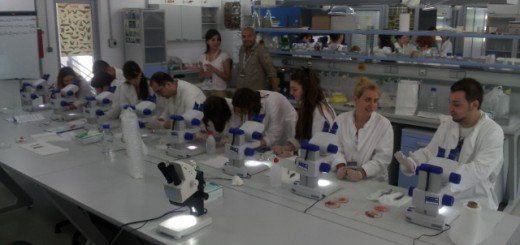 Izraelci uče od Petnice