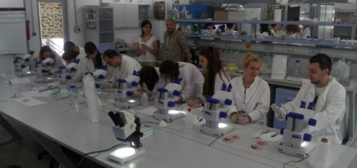 Izraelci uče od Petnice