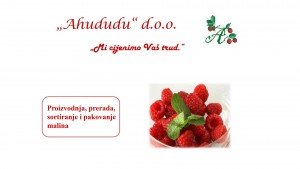 AHUDUDU - Proizvodnja, prerada, sortiranje i pakovanje malina