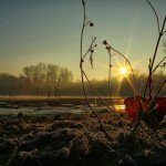 II nagrada: Jesenje srce, autora Jan Vala iz Novog Sada