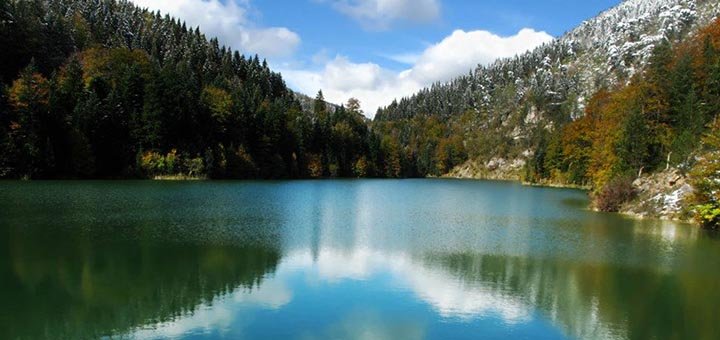 Nacionalni park Tara