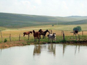 Pešterska visoravan