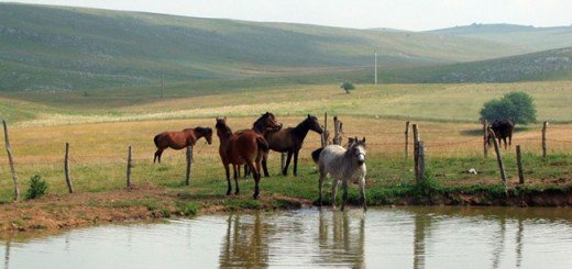 Pešterska visoravan