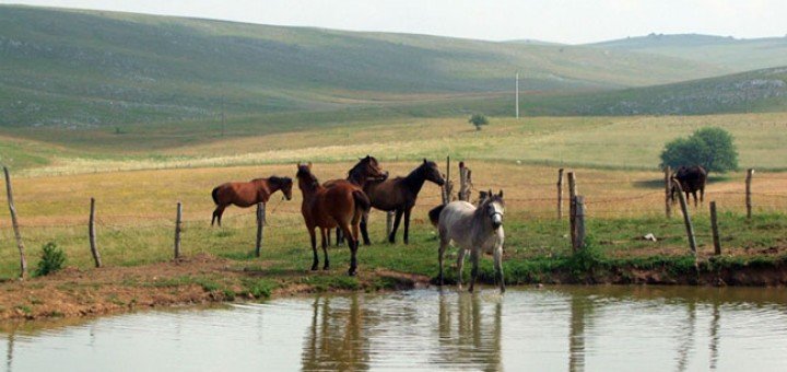 Pešterska visoravan